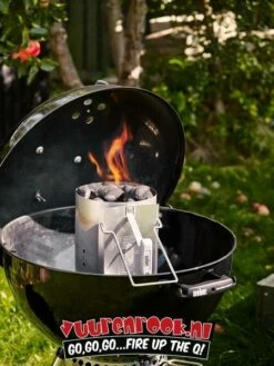 Weber Char-Basket Houtskool/Briketten Houders -BIG GREEN EGG Winkel image 164