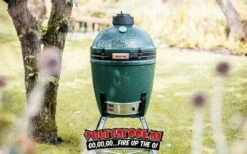 Big Green Egg Medium + Nest -BIG GREEN EGG Winkel image 227