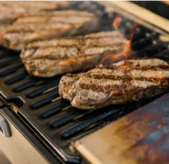 Masterbuilt Portable Charcoal Grill 15 Masterbuilt Portable Charcoal Grill -BIG GREEN EGG Winkel image 81