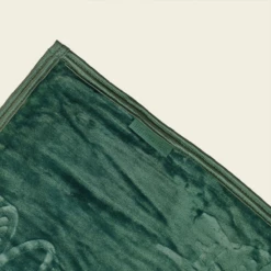 Big Green Egg Fleecedeken 7 Big Green Egg Fleecedeken -BIG GREEN EGG Winkel image 843