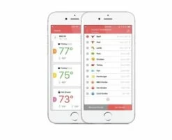 Inkbird IBT-6XS -BIG GREEN EGG Winkel image 913